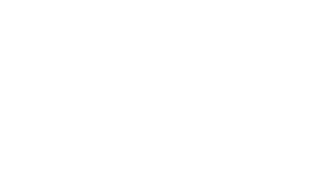 Blue Cross Blue Shield